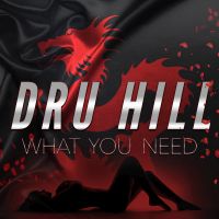 Dru Hill / What You Need (2020)